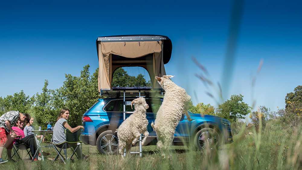 Tentes de toit Thule : toute une gamme pour les couples, les familles, les  vans, voitures, pick-ups… - Van Life Magazine