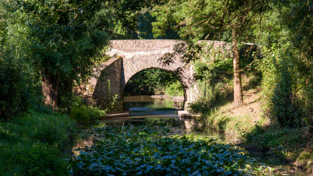 Événement van : Camper Van Week-End - Domaine de l'Étang