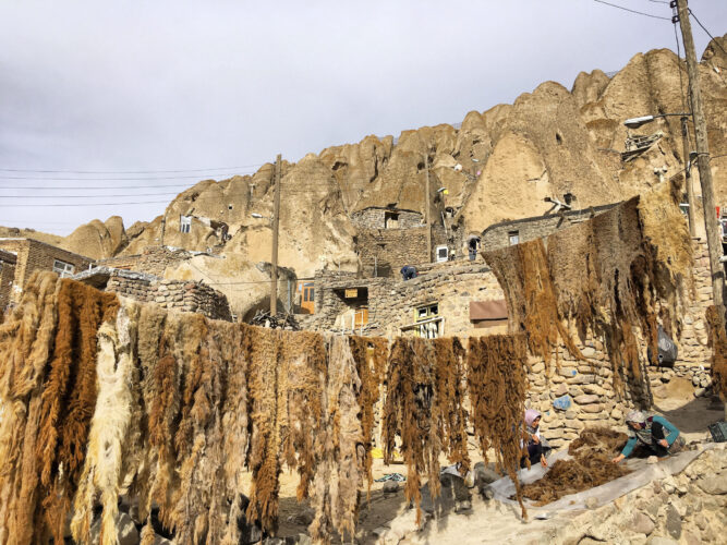 Des toisons de mouton sèchent étendues sur des fils.