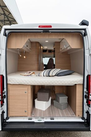 McLouis Yearling Van 3