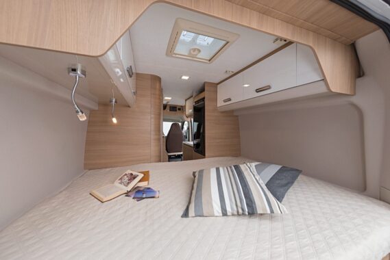 McLouis Yearling Van 3