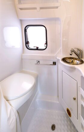 Une salle d'eau tout en un : WC, douche, lavabo et baie lumineuse