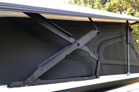 Le noir des pantographes et de la toile de toit ne font qu'un.