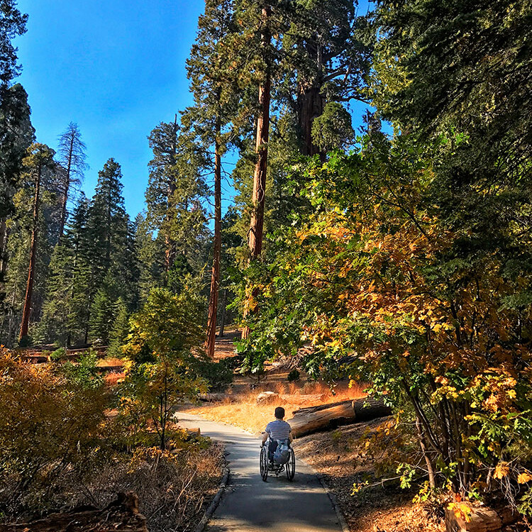 © Samuel Marie - Sam Fait Rouler