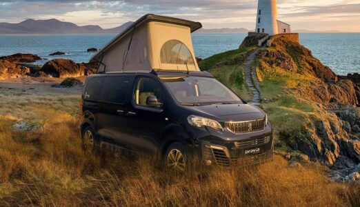 Bravia Mobil Swan 495