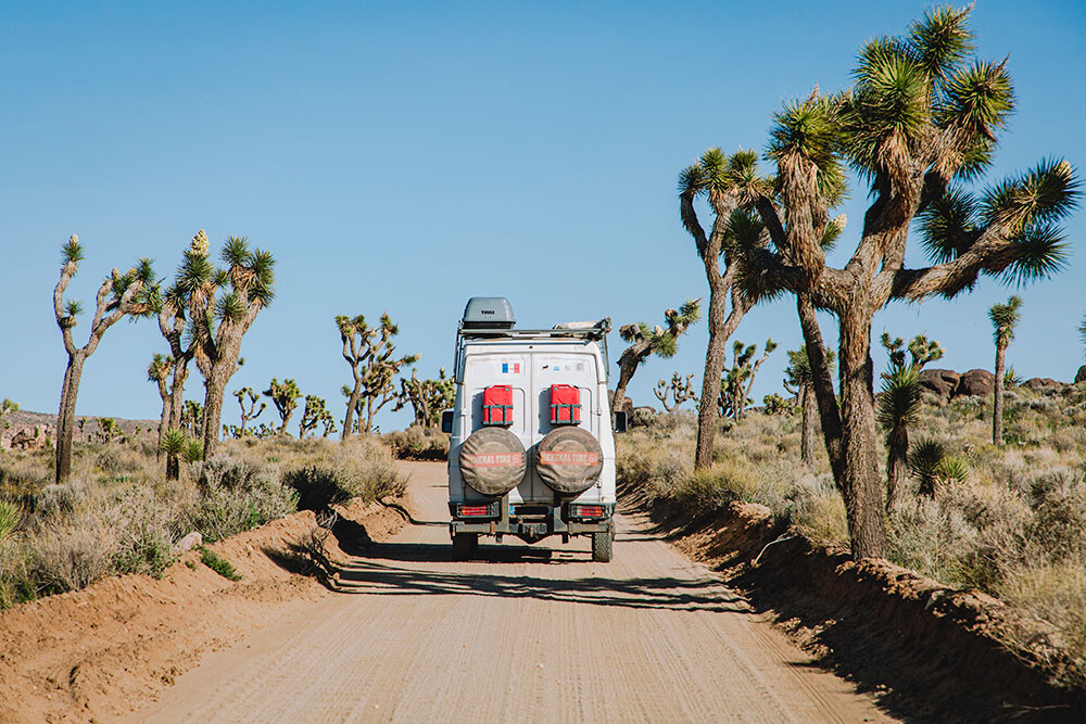 © Le Monde de Tikal (Dana Tentea et Stéphane Boitel)