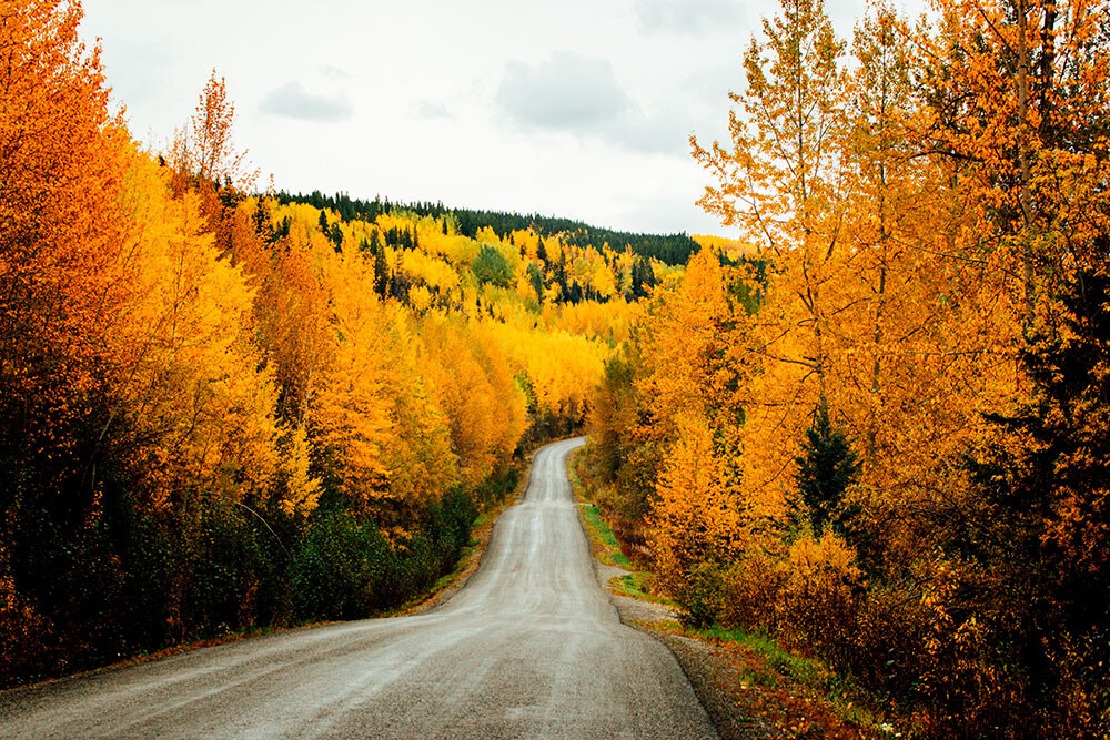 © Le Monde de Tikal (Dana Tentea et Stéphane Boitel)