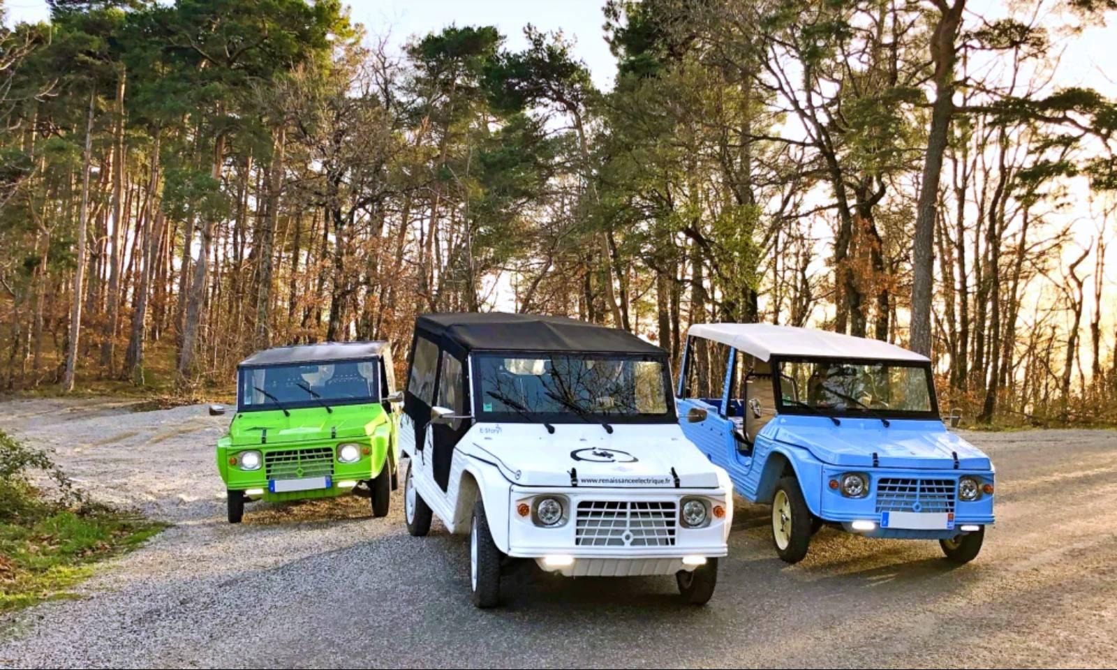 Le concepteur MLT Automotive (Méhari Loisirs Technologie) décline la E-Story 2 portes, en version 3 portes avec une échancrure arrière droit, ainsi qu'en version pick-up.